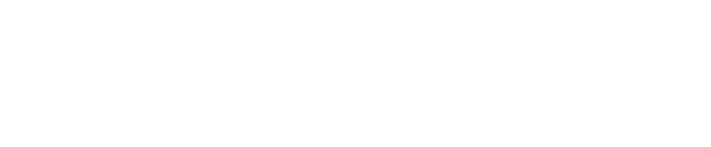 Elvarys Solutions — logo